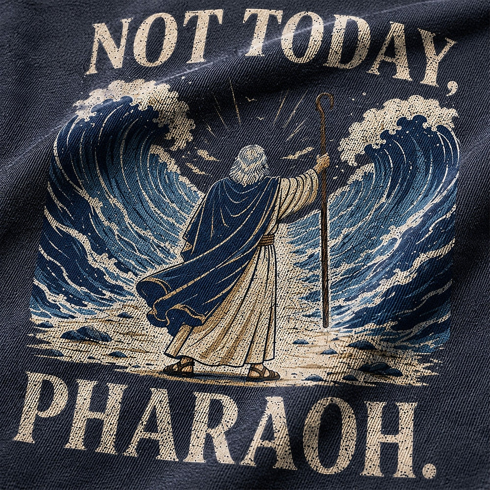 Not Today Pharaoh Moses cotton T-shirt, additional product detail view